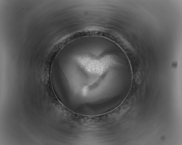 X0000102020821200807251329