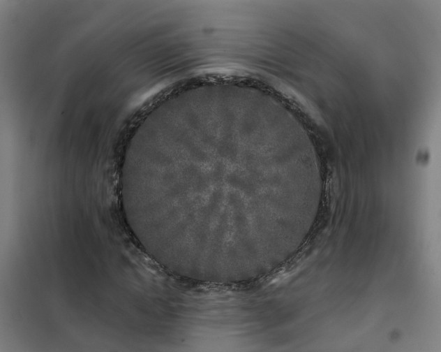 X0000102020822200807251329