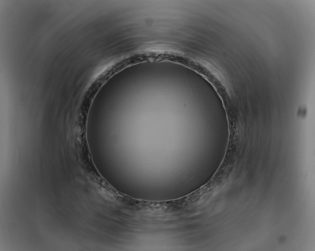X0000102020823200807251329