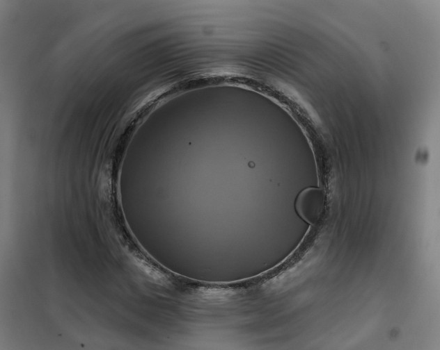 X0000102020825200807251329