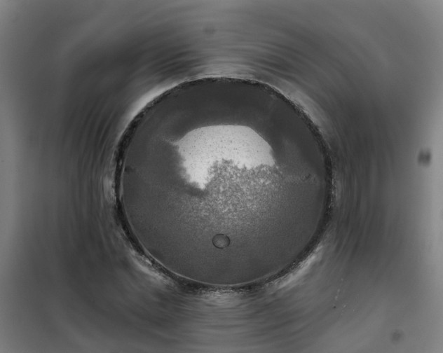 X0000102020830200807251329