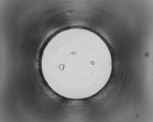 X0000102020832200807251330