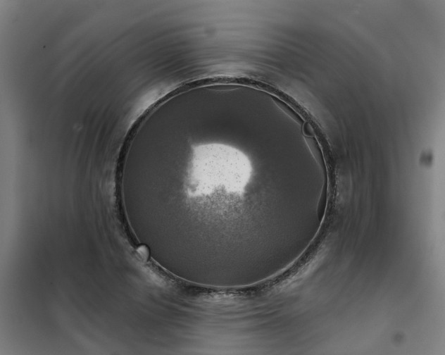 X0000102020834200807251330