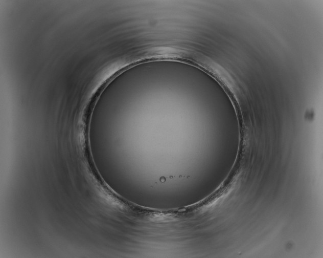 X0000102020835200807251330