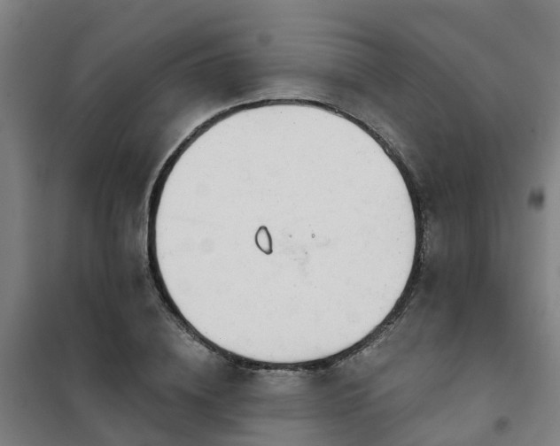 X0000102020836200807251330