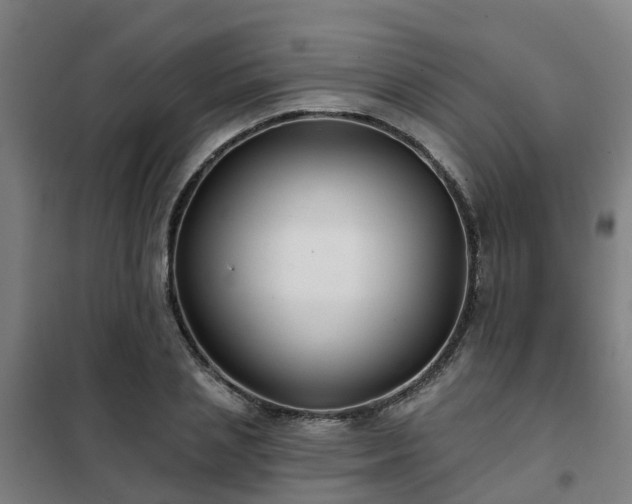 X0000102020837200807251330
