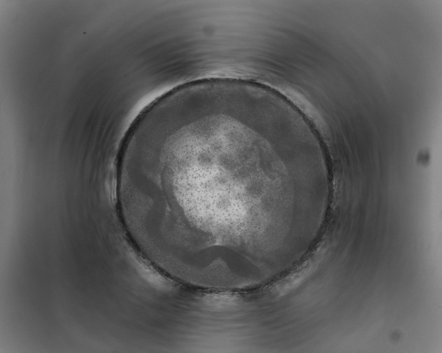 X0000102020838200807251330