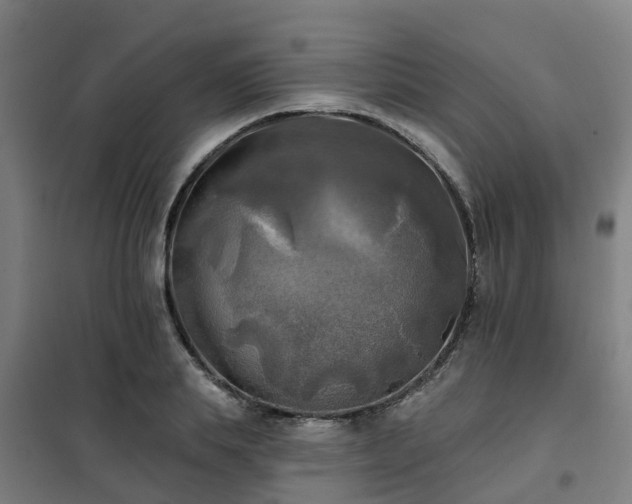X0000102020839200807251330