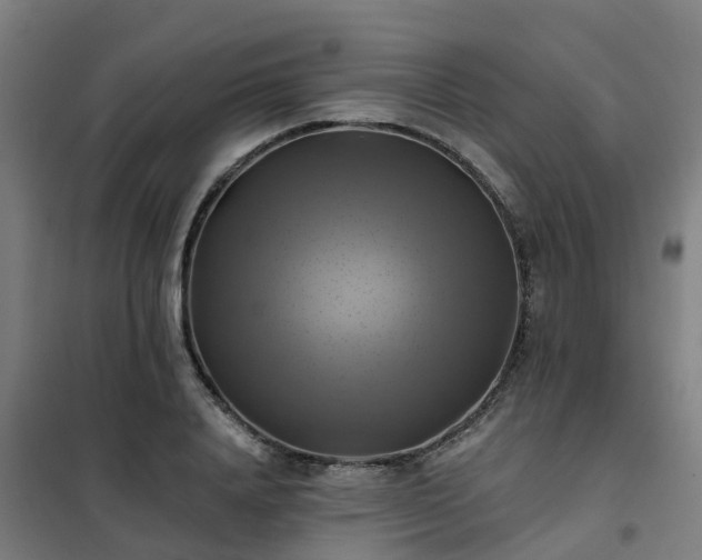 X0000102020840200807251330