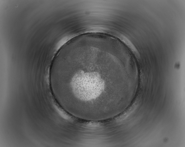 X0000102020842200807251330