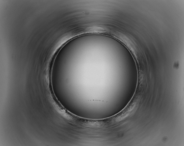 X0000102020843200807251330