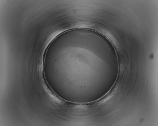 X0000102020844200807251330