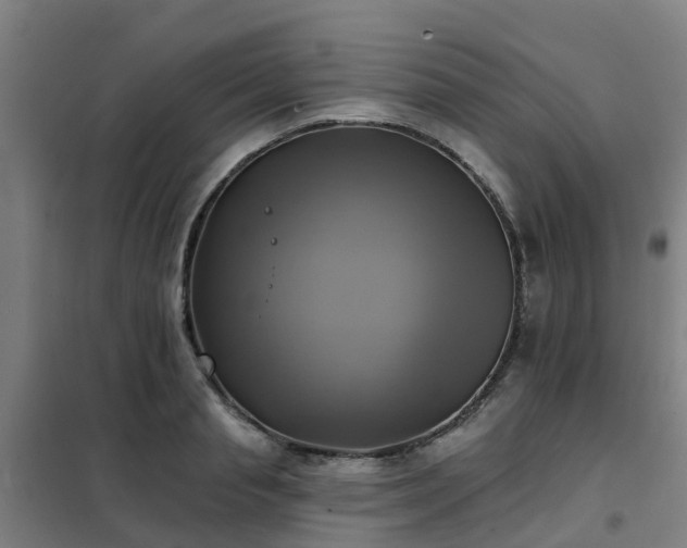 X0000102020845200807251330