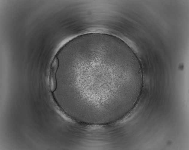 X0000102020846200807251330