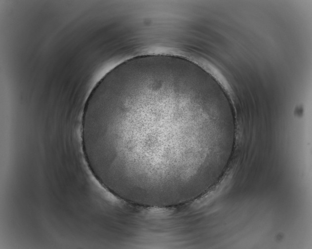 X0000102020847200807251330