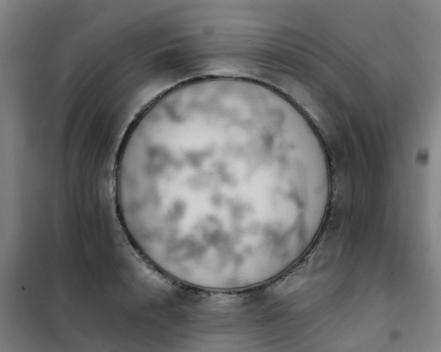 X0000102020848200807251330