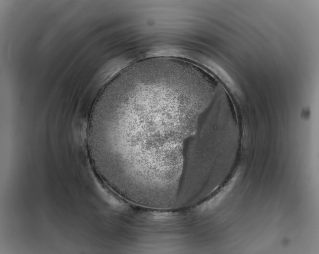 X0000102020849200807251330