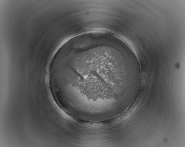 X0000102020851200807251330