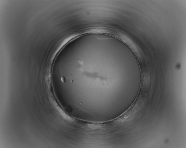 X0000102020852200807251330