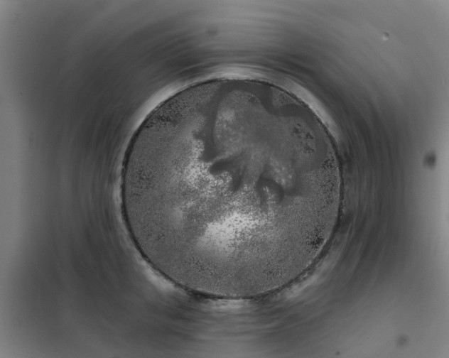 X0000102020853200807251330