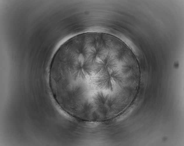 X0000102020854200807251330