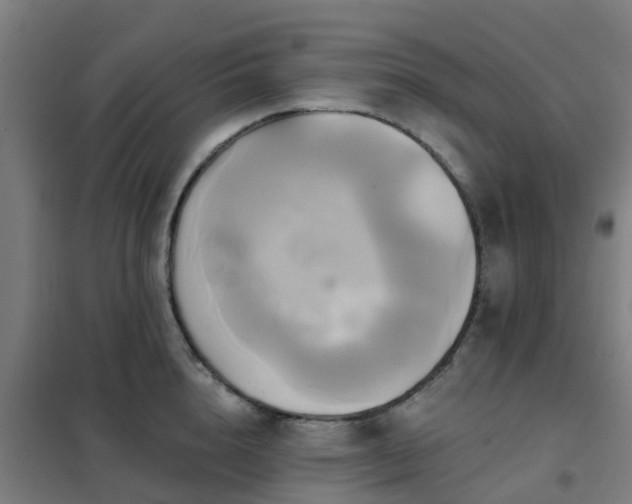 X0000102020856200807251330