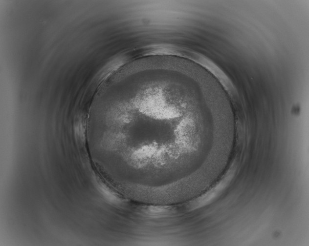 X0000102020857200807251330