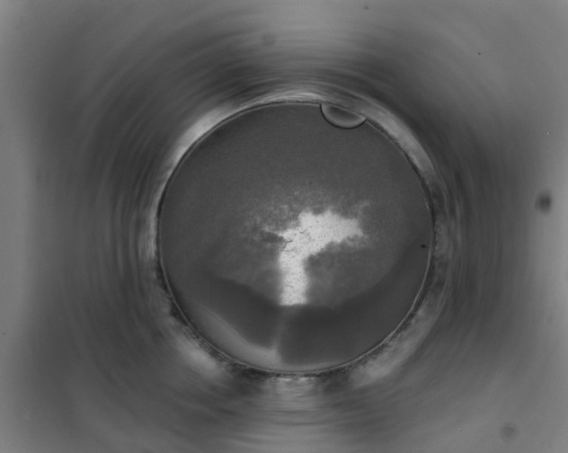 X0000102020858200807251330