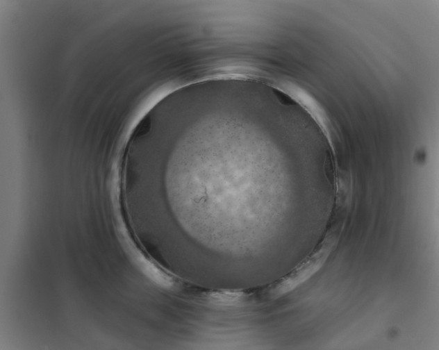 X0000102020859200807251330