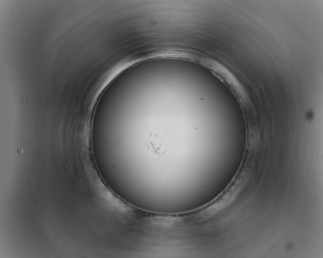 X0000102020860200807251330