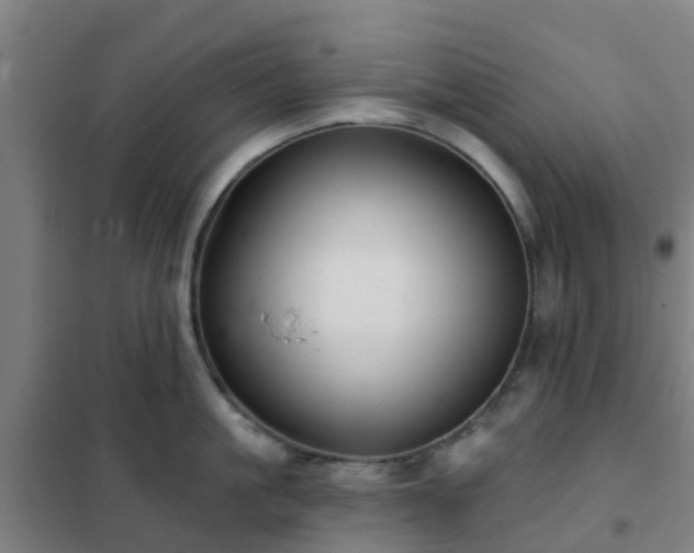 X0000102020861200807251330