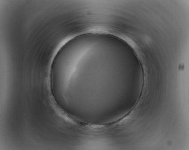 X0000102020864200807251330