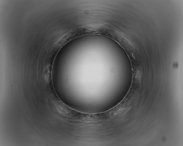 X0000102020868200807251329