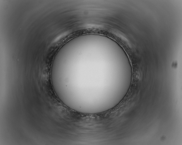 X0000102020869200807251329