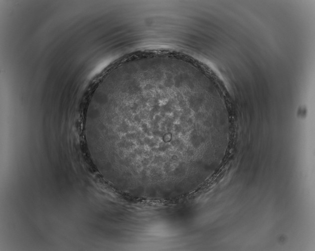 X0000102020871200807251329