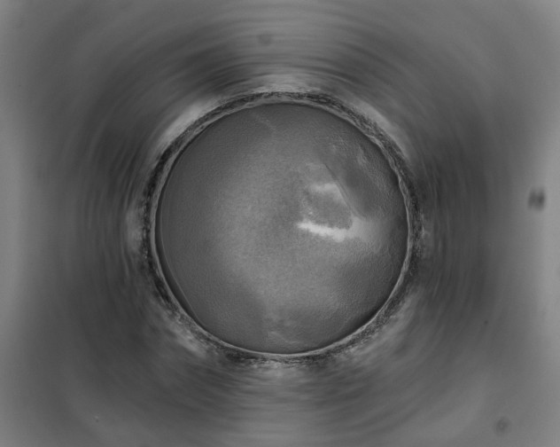 X0000102020874200807251329