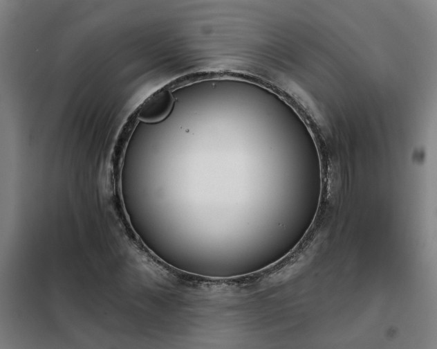 X0000102020876200807251329