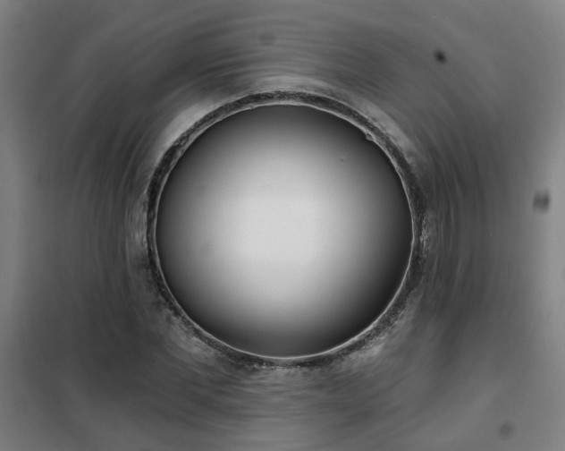 X0000102020877200807251329