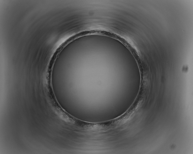 X0000102020879200807251329