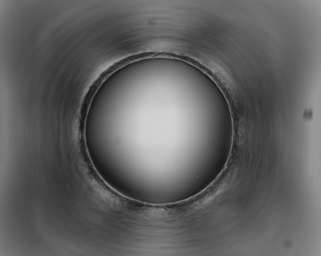 X0000102020880200807251329