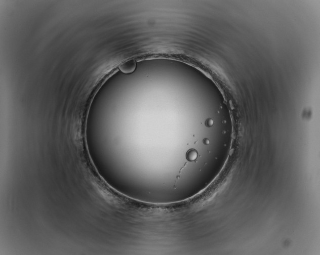 X0000102020881200807251329