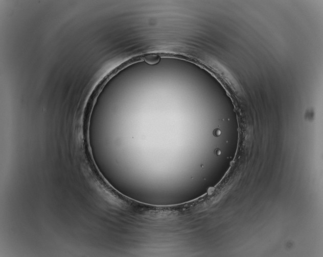 X0000102020884200807251329