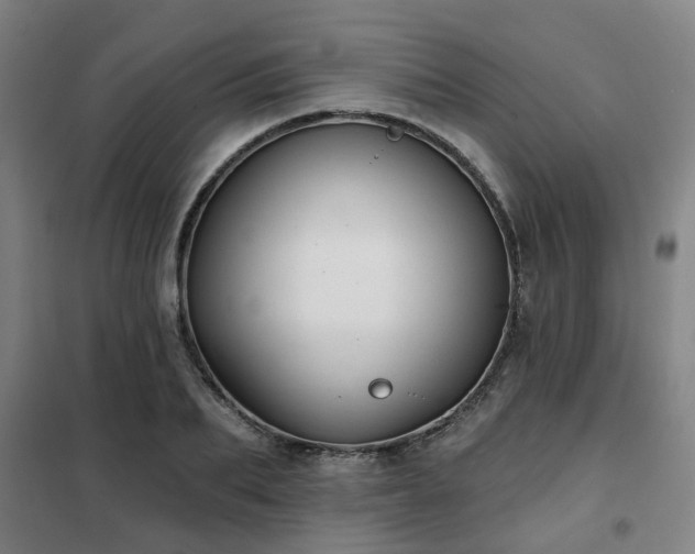 X0000102020887200807251329