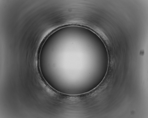 X0000102020888200807251329