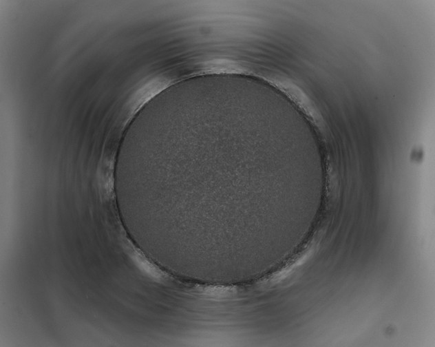 X0000102020889200807251329