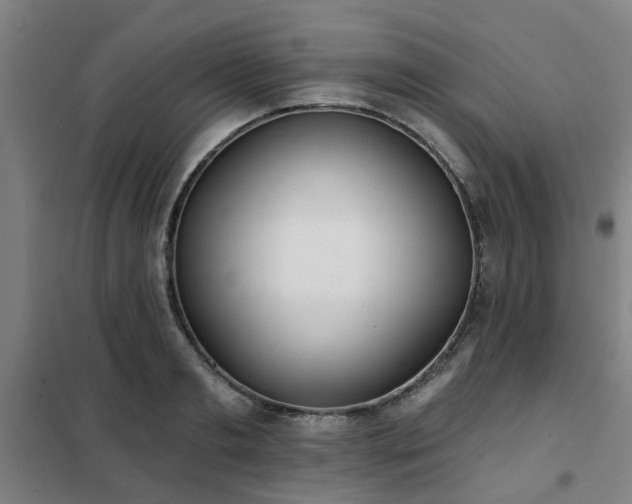 X0000102020893200807251329