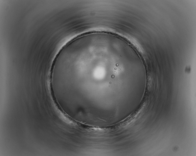 X0000102020895200807251329