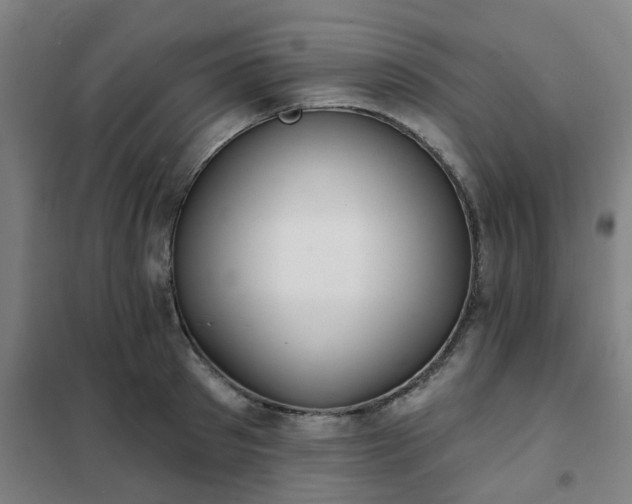 X0000102020897200807251329