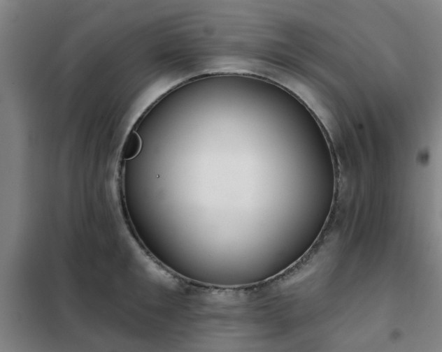 X0000102020901200807251329