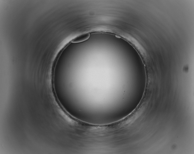 X0000102020902200807251329
